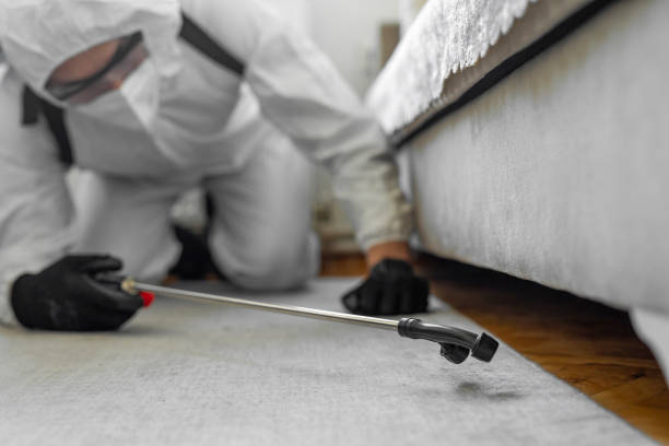 Professional Bed Bug Control technician working in East Rutherford, NJ