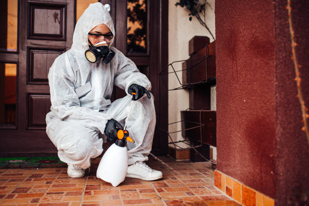 Reliable Bed Bug Control contractor in East Rutherford, NJ by Nex Pest Control