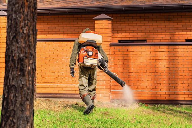 Trusted Cockroach Control service in East Rutherford, NJ - Nex Pest Control